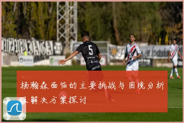 杨瀚森面临的主要挑战与困境分析及解决方案探讨