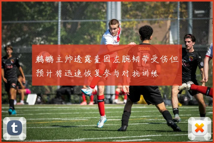 鹈鹕主帅透露奎因左腕韧带受伤但预计将迅速恢复参与对抗训练