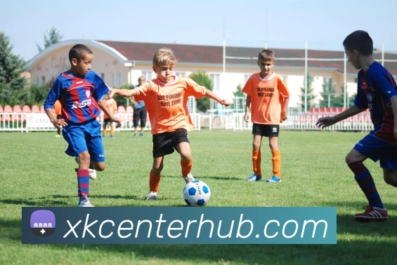 星空体育平台生态图