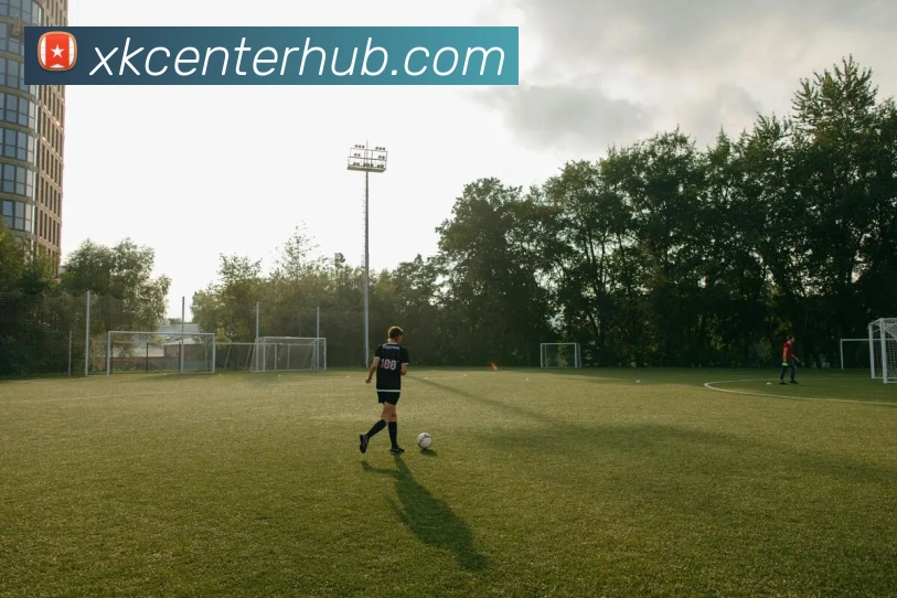 星空体育全站App